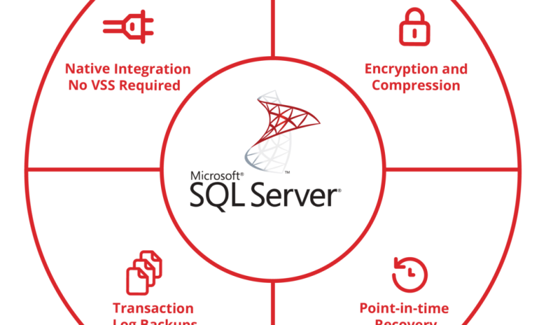 تصویر شاخص آموزش SQL Server برای پشتیبانگیری، بازیابی و امنیت پایگاه داده